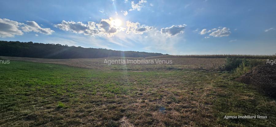 1 ha teren zona Curtesti - Bucovina - 2