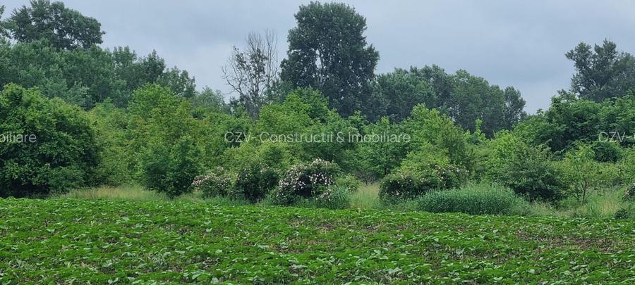 Teren Intravilan 615mp-Deschidere Generoasa ,Pozitie Excelenta - 3