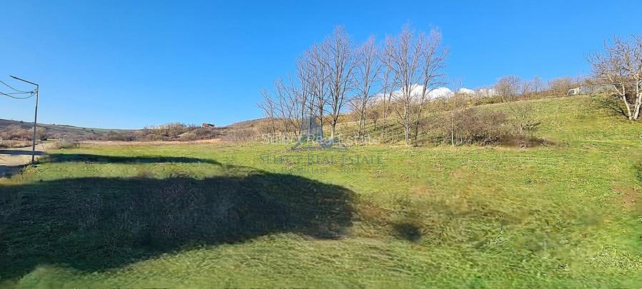 Teren intravilan 2500 mp \Sibiu \Sura Mare - 4