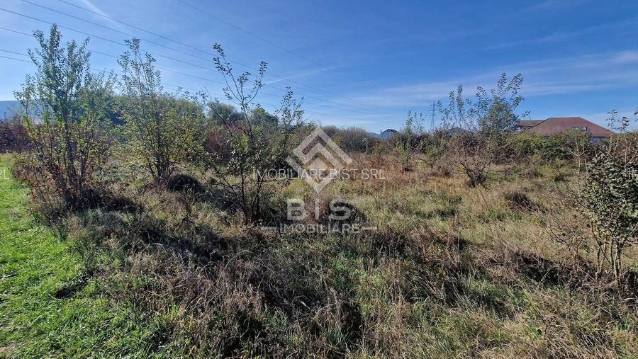 Teren Intravilan  Unirea 1700mp - 9