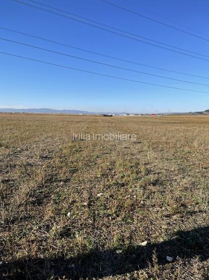 Teren intravilan Triaj - 9