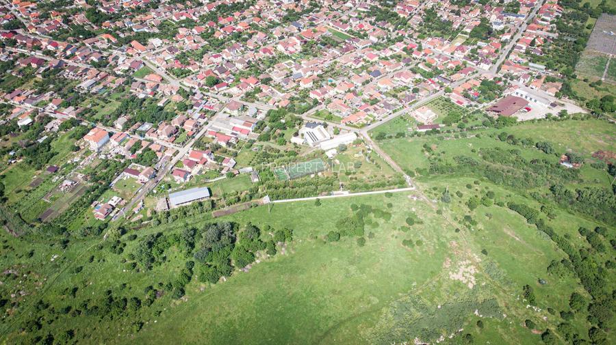 Teren intravilan 20.800 mp, Grădiște - 3