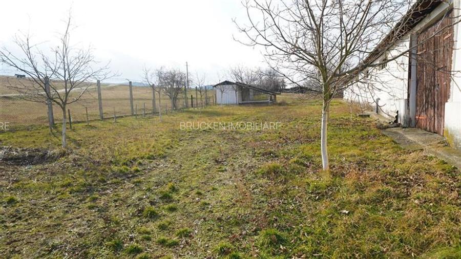 MICRO-FERMA + CASA IN VOIVOZI - BIHOR - 8