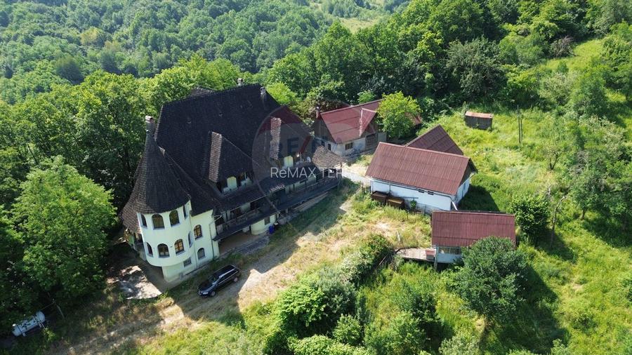 CASTEL DE VANZARE IN MARAMURES - 8