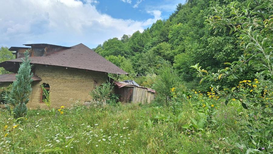 VANZARE ANSAMBLU CASUTE BRADULET ARGES - 13