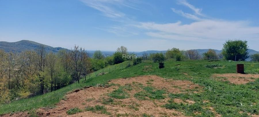 Teren Campina varful Muscel - 10