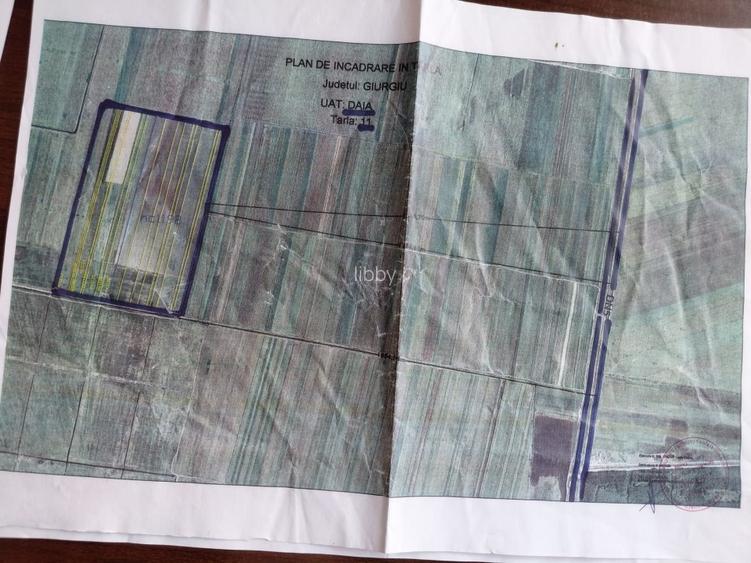 Vand teren agricol Daia Giurgui 35.4 HA - 2