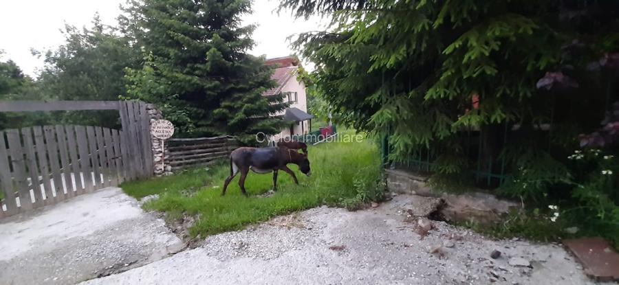Casa de vacanta sau pensiune situata langa Cabana Trei Brazi Predeal - 41