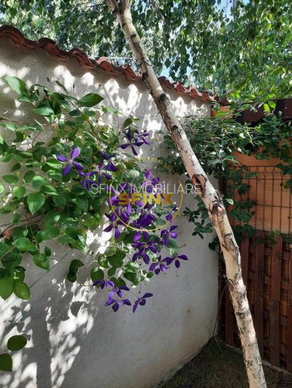 Vila individuala moderna 5 camere, supr 182 mp, 2019, 316 mp teren - 34