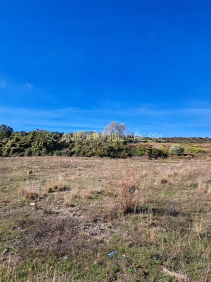 Teren de vânzare pe Dealul Lombului, aproape de Cluj Innovation Park - 7