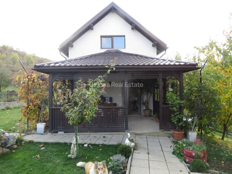 Proprietate Sannicoara, teren 1000 mp! - 4