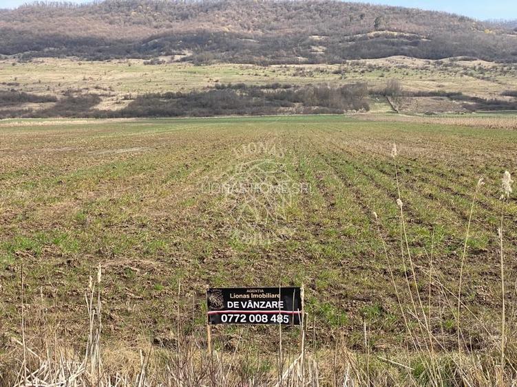 Teren Intravilan-3750mp- zona in plina dezvoltare-Podirei - 4