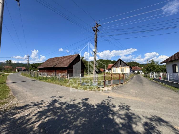 Casa batraneasca cu teren de 3.334mp, in Baia de Cris, Hunedoara