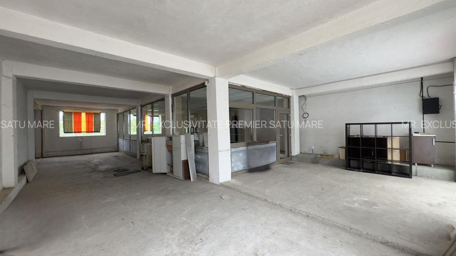 Clădire Industrială Hală Producție, Depozitare, Birouri-Teren 3140 mp - Carei - 15
