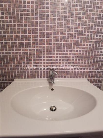 Ion Mihalache, vila 9 camere cu piscina interioara, de vanzare, comision 0% - 29