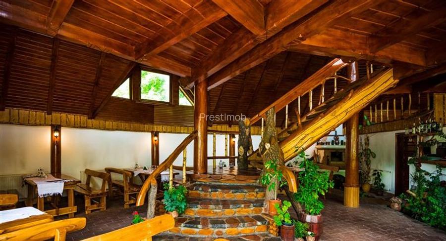 Restaurant de vanzare, Valea Muresului, Andreneasa - 5
