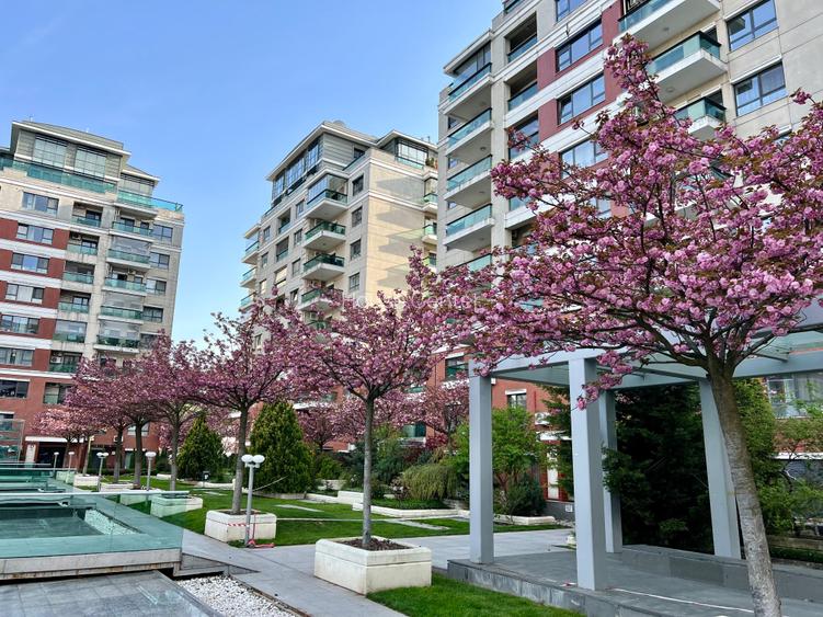 Barbu Vacarescu  Emerald Residences , - 24