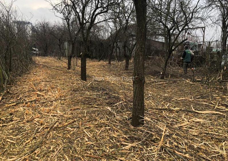 Voluntari  Pipera  Matei Millo  Vanzare  Loturi   teren   intravilan - 12