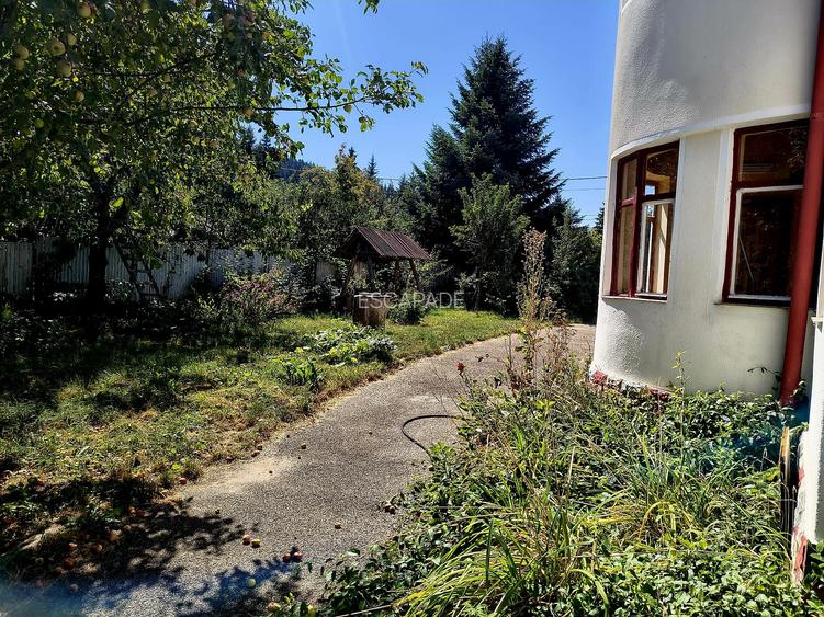 Oportunitate Investitie, casa de vacanta Bradet-Brasov - 4