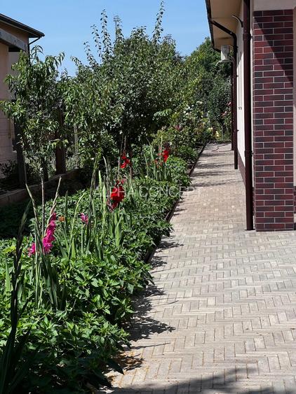 CUMPANA-Central Casa cocheta constructie noua+garaj+panouri fotovoltaice+curte - 5