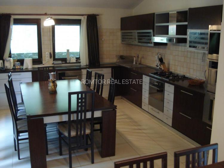 Campina Valea Doftanei Sotrile Paltinu - 26