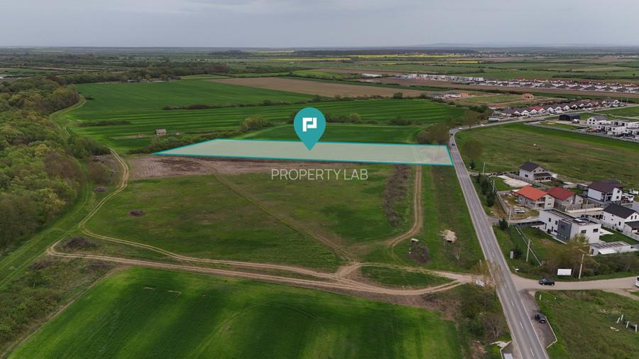 Teren intravilan 5800 mp în Remetea Mare - 6