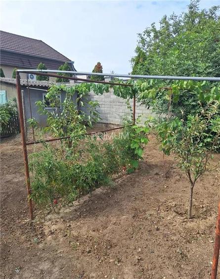 Apartament 1 camera-Centrala-Elisabetin-Curte - 4