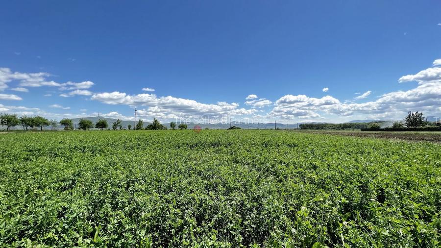 Teren intravilan Zona Metropolitana Brasov - 5
