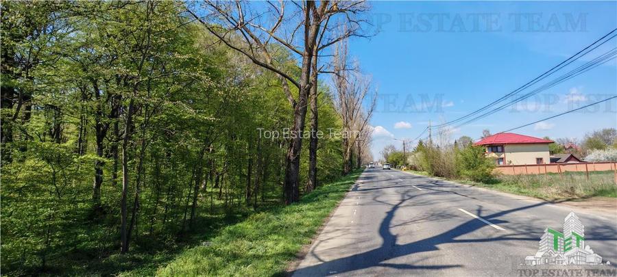 Teren constructii, 650 mp, langa padure, apa, gaze, curent, zona Ciorogarla - 4