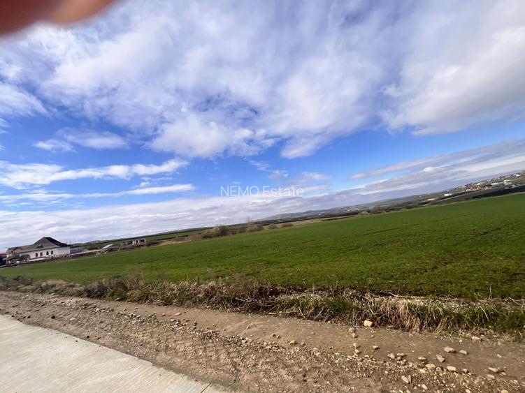 Teren de Vanzare 85 Ari I Suceava/Sf.Ecaterina I 355.000Euro - 4