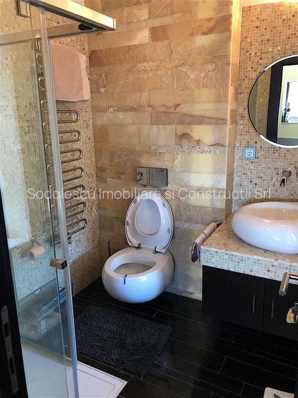 Vila deosebita Braytim - 41