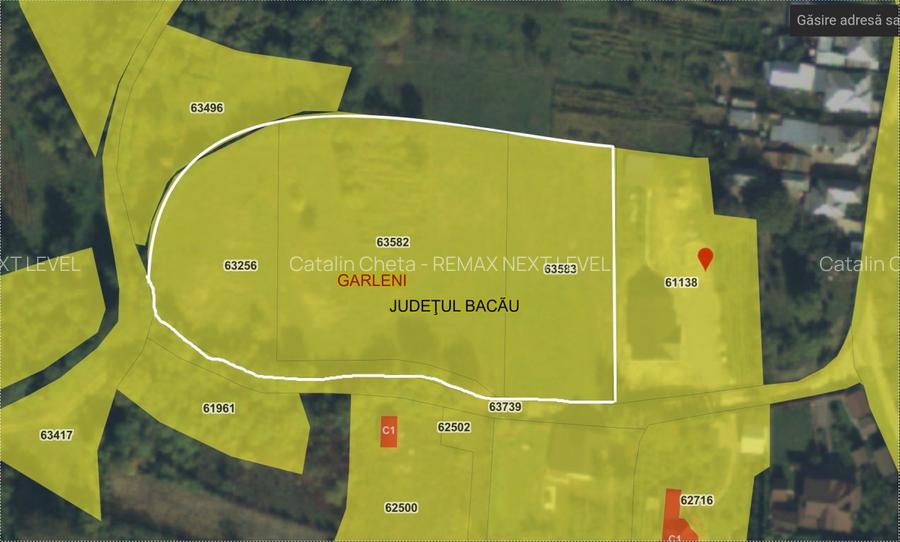 De vanzare teren intravilan 8,000 mp Garlenii de Sus / Bacau - 2