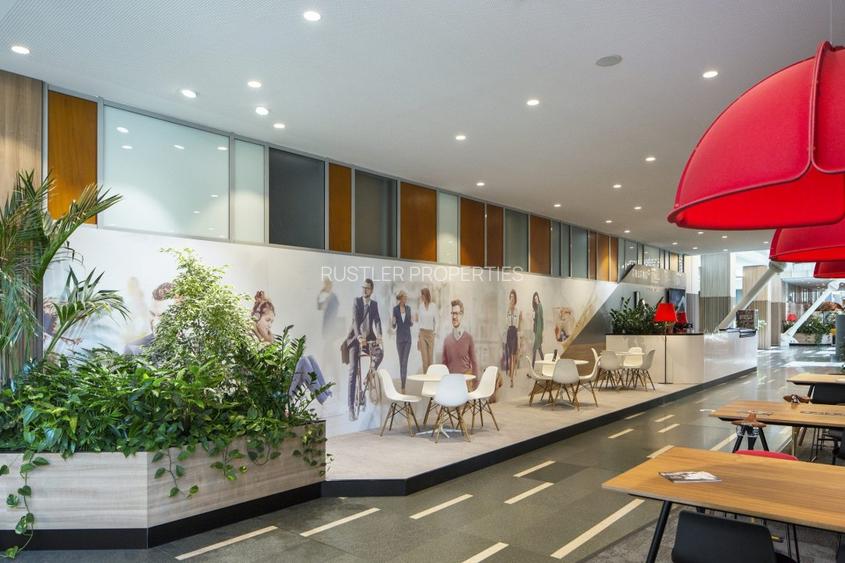 Spatiu de birou pentru inchiriat in cladirea myhive S-PARK - Casa Presei-Miorita - 9