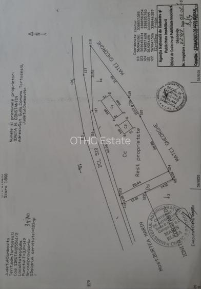 Tartasesti | Intrabilan | 1000 mp | - 2