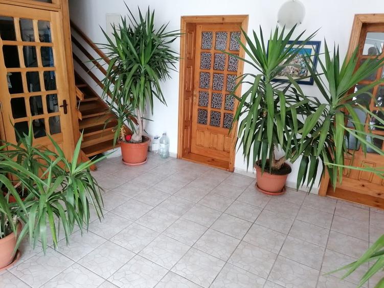 Vila Trivale zona Lidl, teren 855 mp