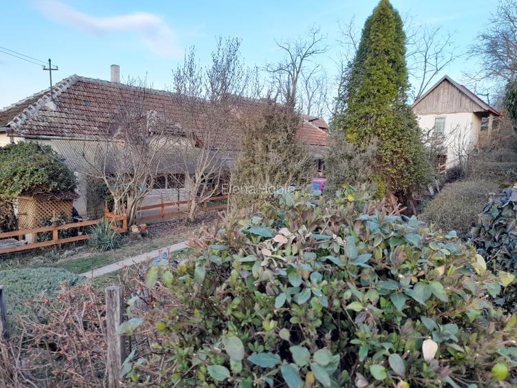 Oferim spre vânzare  - 2