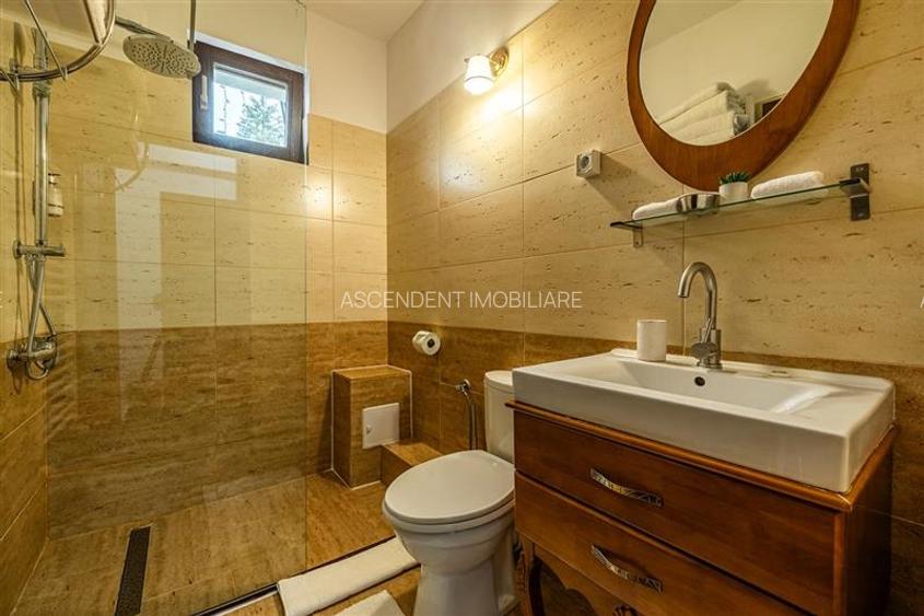 FILM! Un spatiu pretios pentru rezidenta si ospitalitate, Central, Poiana Brasov - 12