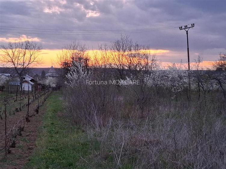 Vanzare teren intravilan 3715 mp – ideal pentru dezvoltare rezidentiala - 6