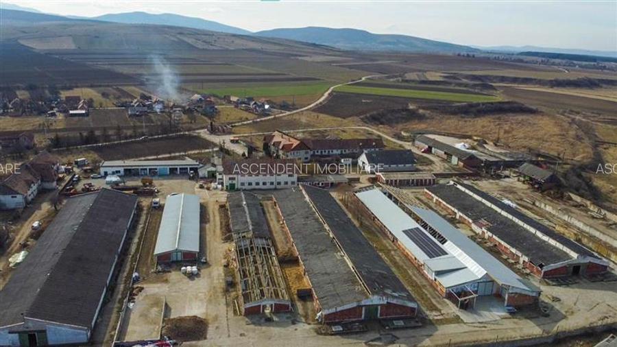 FILM! +25.400mp teren+Complex agrozootehnic cu traditie, accesorizat+ potential - 8