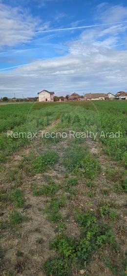 Teren si casă cu teren generos în Socodor - 29