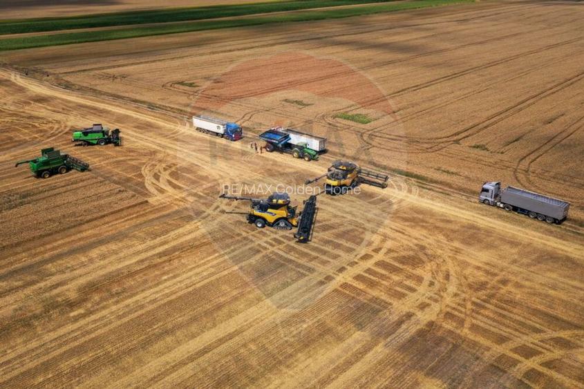 Teren 500 h plus 1000h arenda Vrancea - 2