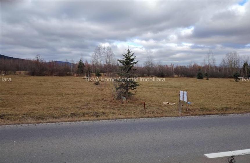 Teren extravilan in Borzont, langa DN13B - 4