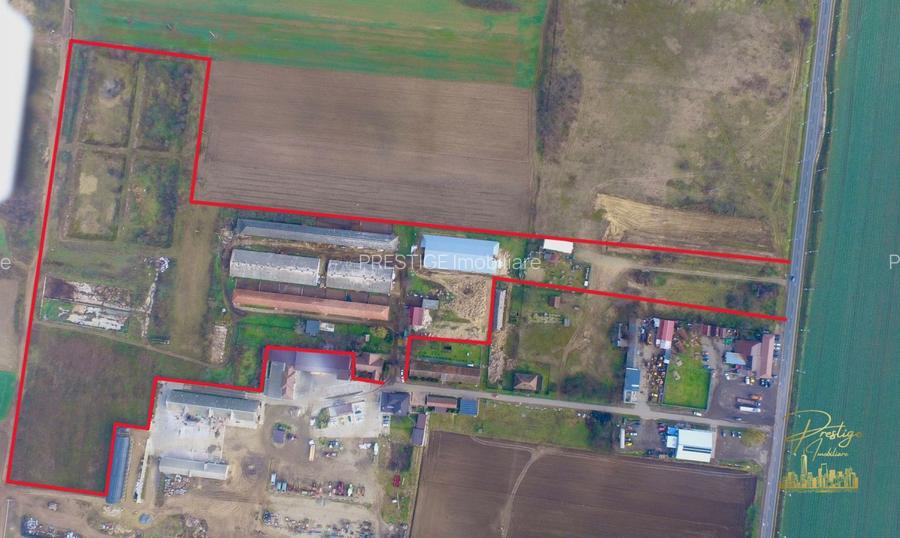 Domeniu - Centru de colectare, 7 ha de vanzare in Valea lui Mihai - 5