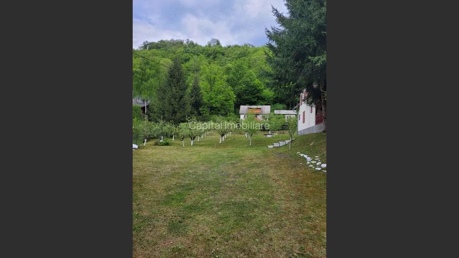 Proprietate Unică în Inima Naturii – Galaoaia, Mureș  - 3