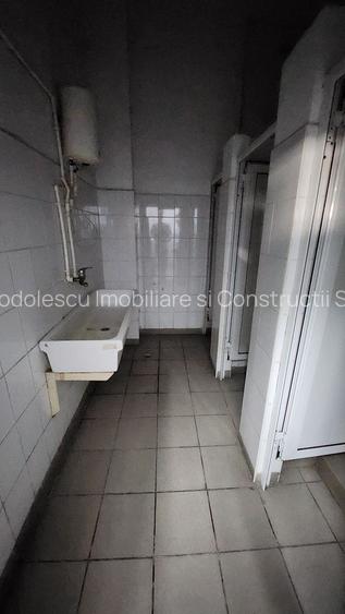 Spatiu industrial productie/ depozitare, Timiș - 29