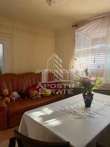 Casa individuala plus anexa, zona centrala in Faget - 21