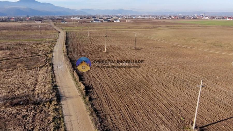 Teren investiție intravilan 3600 mp – Dumbrava Roșie - 2