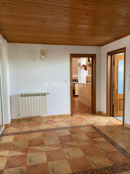 Domeniu Privat - Rosu/ Chiajna - Ilfov - 13