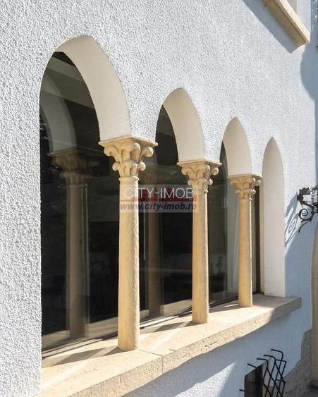 Vila Spectaculoase de inhiriat Bucuresti Central - 30