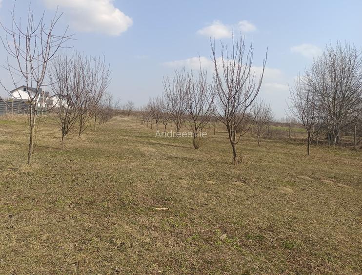 Teren parcelabil, intravilan, 6400mp cu casa renovata - ideal investitor  - 3